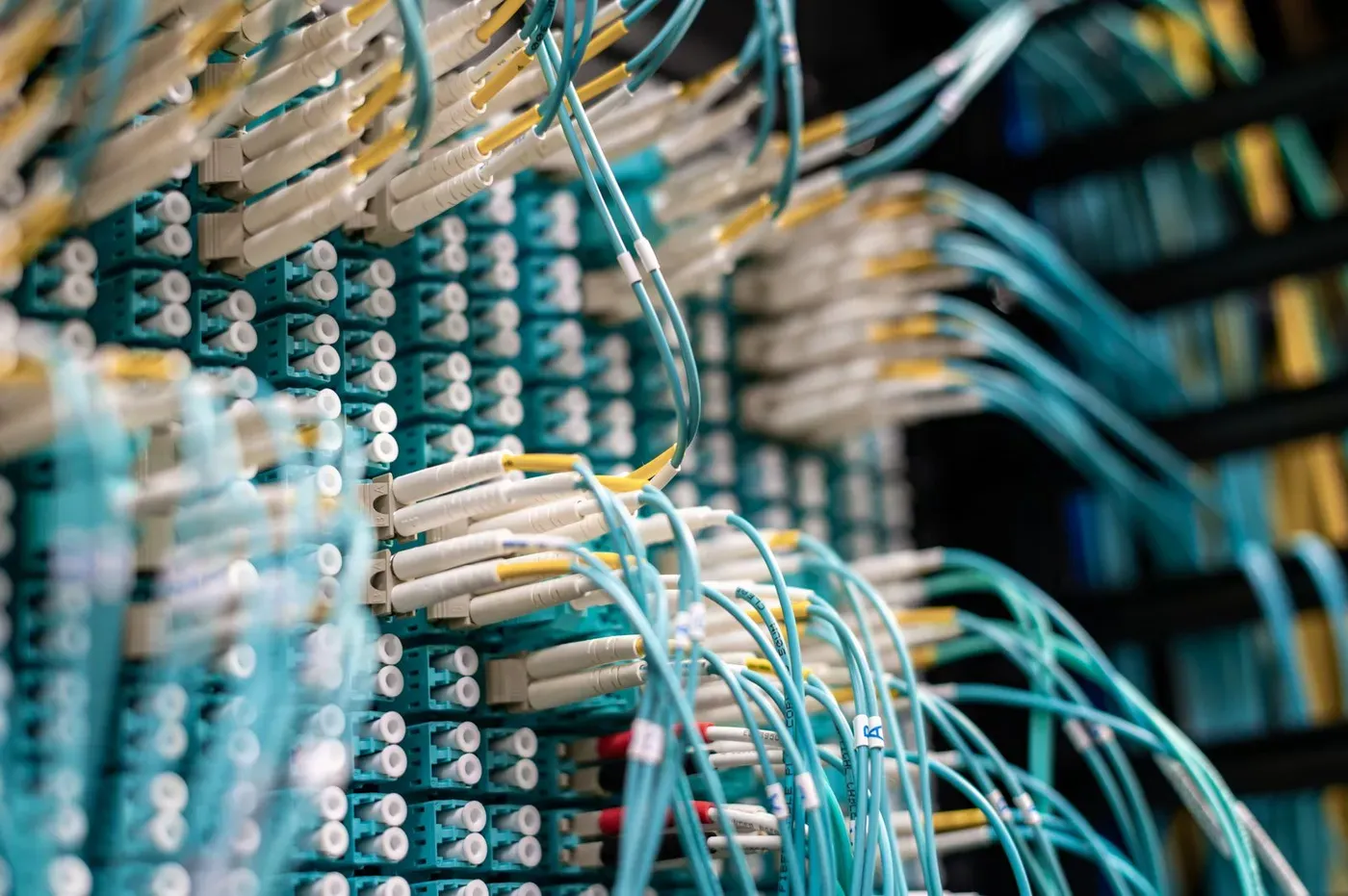 Rows of blue network cables plugged into a server panel in a data centre.